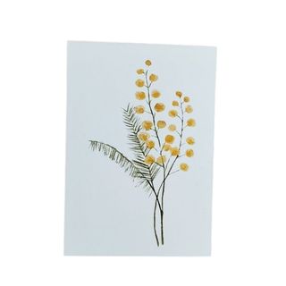 čestitka mini Mimoza