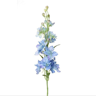 Delfinium plavi