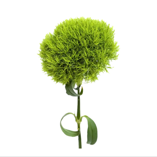 Green trik