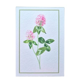 Cestitka mini Detelina