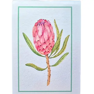 Čestitka mini Protea