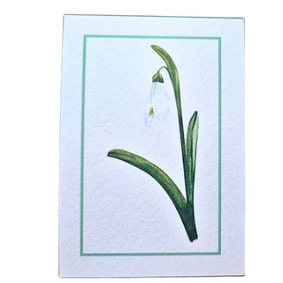 Ćestitka mini Visibaba