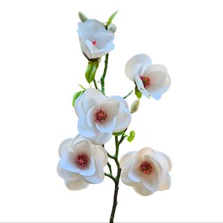 Magnolia veštačka belaL