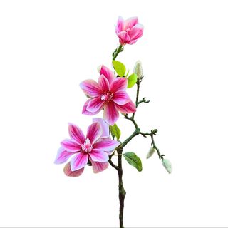 Magnolia veštačka 50 sm