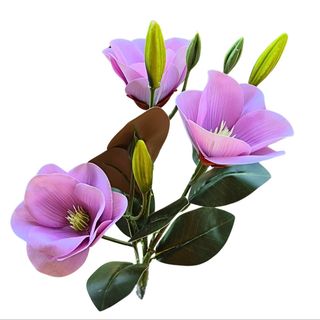 Magnolia veštačka M