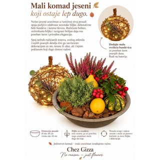Jesenji vrt u rustičnoj posudi