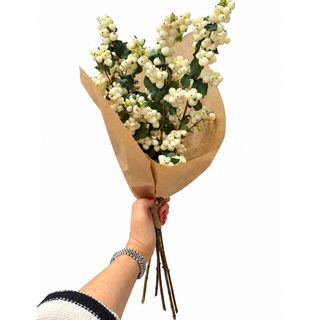 Snowberry – 5 grana