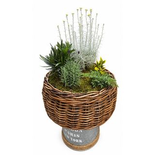 Terrace Garden Basket – Large