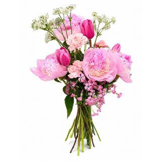 Buket božura / Blush Garden