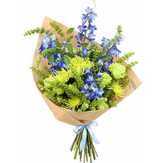 BLUE BASIL