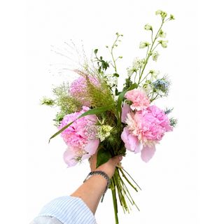 Raskošni roze božuri / Soft Crush Energy