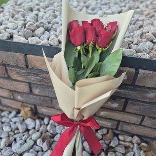 Buket - 7 crvenih ekvadorskih ruža (BKT 173)