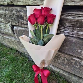 Buket - 5 crvenih ekvadorskih ruža (BKT 177)