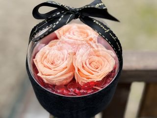 Dehidrirane ruže u kutiji - kajsija(RUK 126)