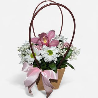 Rose Orchid Elegance