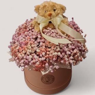 Gypsophila Blossom Beary Box