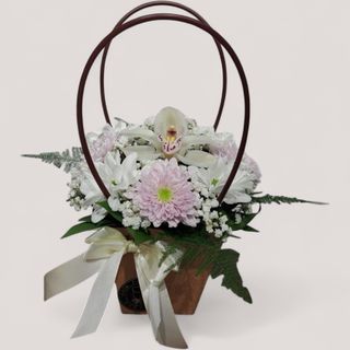 White Orchid Elegance