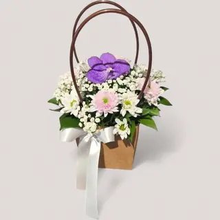 Violet Orchid Elegance