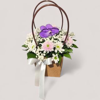 Violet Orchid Elegance