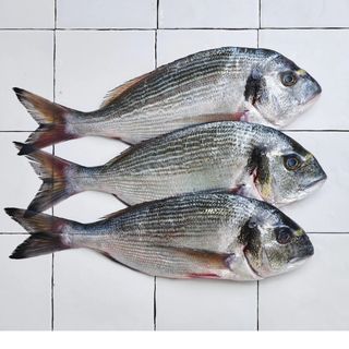 Poisson du jour
