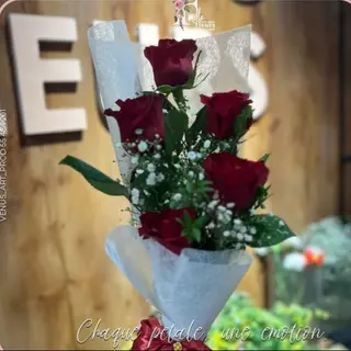 Bouquet Model 22