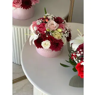 Flora Edition 1