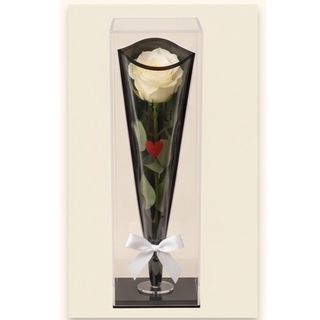 Single Rose ''White''