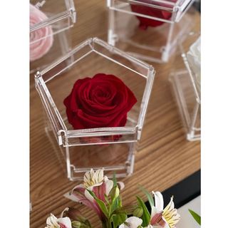 Rose Éternelle Rouge