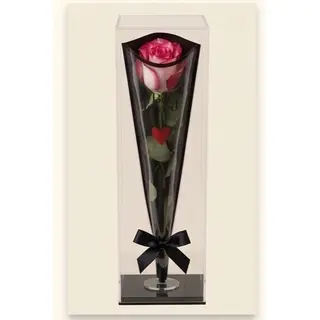 Single Rose ''Rose"