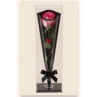 Single Rose ''Rose"