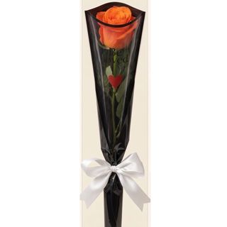 Single Rose ''Orange"