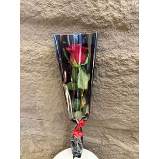 Une roses emballées Model 1