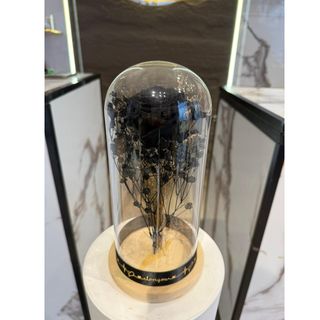 Roses éternelle Black