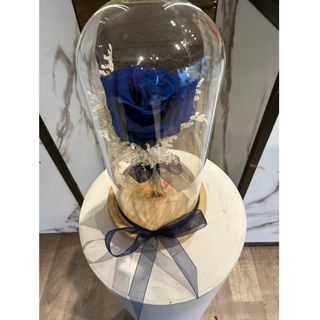 Roses éternelle Blue