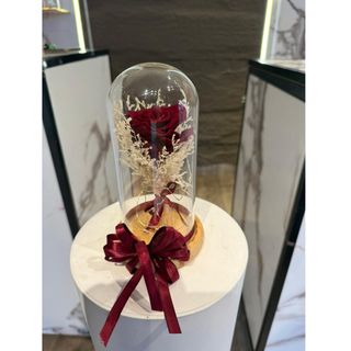 Roses éternelle RED