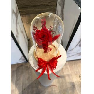 Roses éternelle Rouge