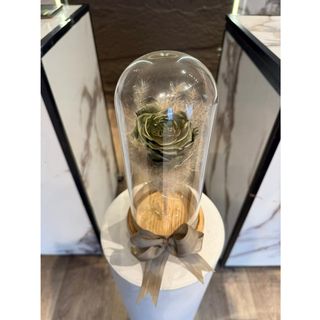 Roses éternelle Green