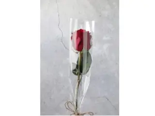 Single Flower