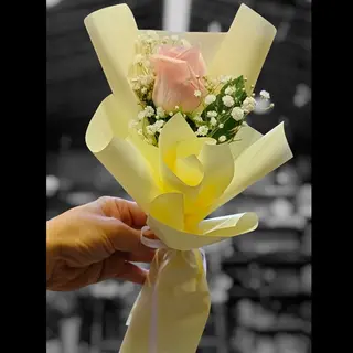 Rose pastel 