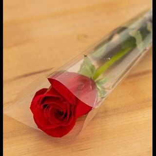 Single flower