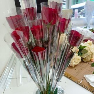 Une fleur