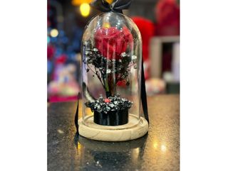 Rose eternelle Model 3