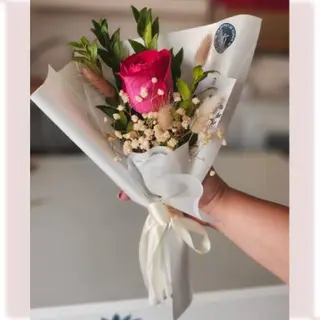 Rose délicatesse
