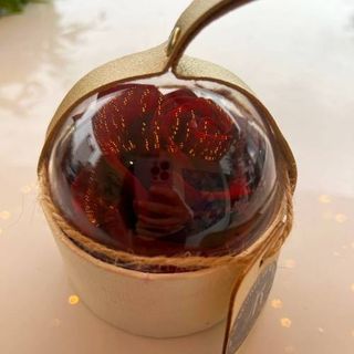 Rose Eternelle  Rouge