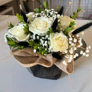Rêve Champêtre