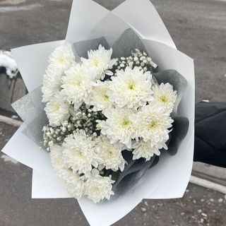 Blanc Pure