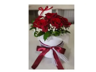 Box Rouge Neige