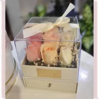 Box Pastel