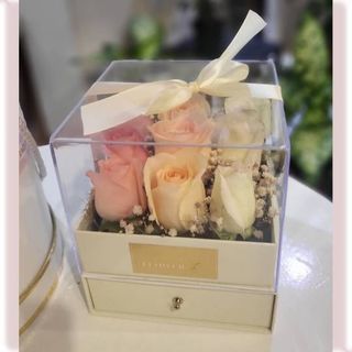 Box Pastel