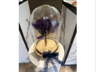 Rose eternelle violet